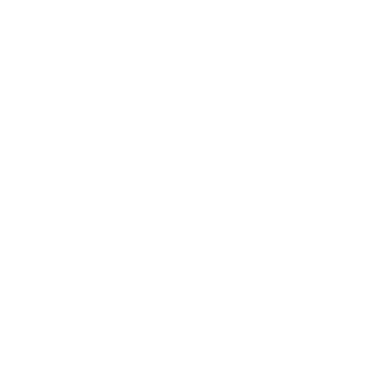 Mr. Todd the IT guy